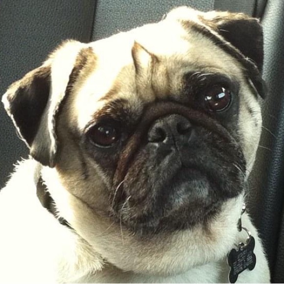 Meet your Posher, Jessica - Picture 3 of 3